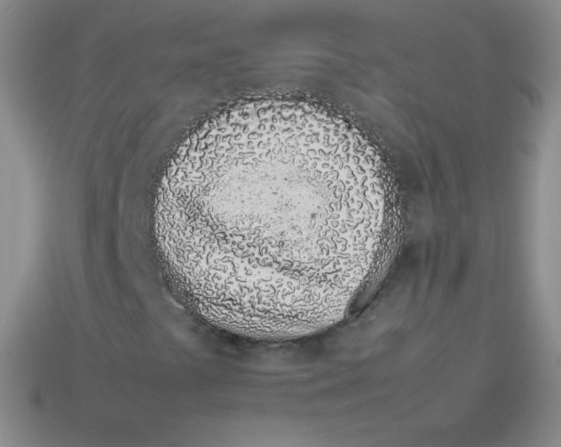 X0000113911441200910151407