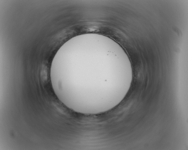 X0000113911442200910151407