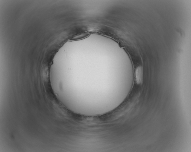 X0000113911443200910151407