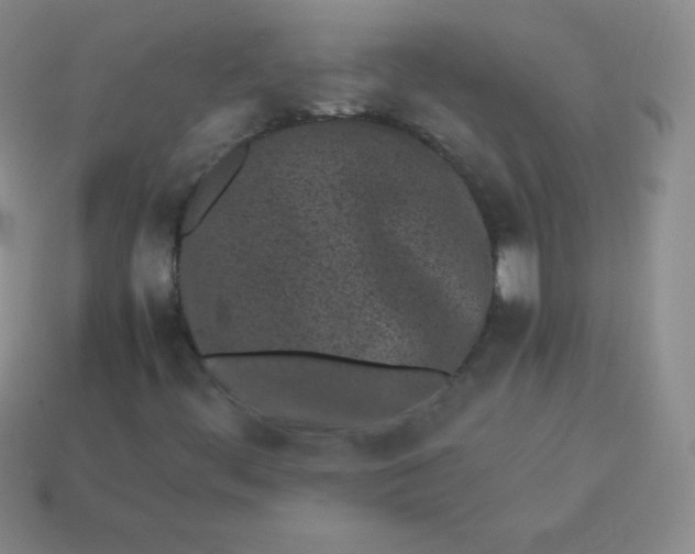 X0000113911444200910151407