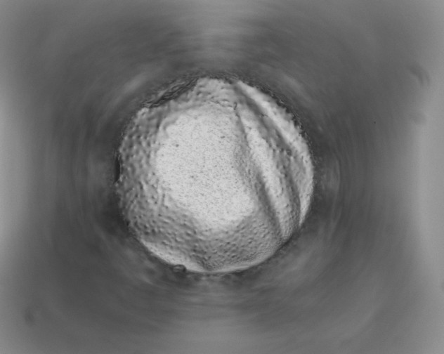 X0000113911445200910151407