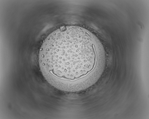 X0000113911446200910151407