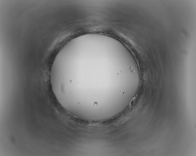 X0000113911447200910151407