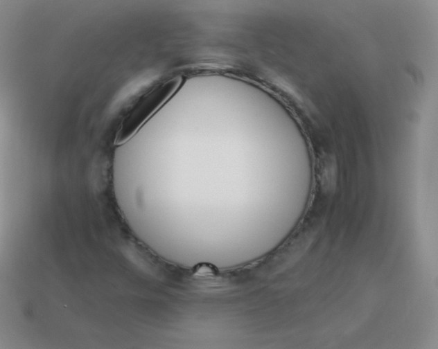 X0000113911448200910151407