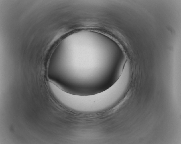 X0000113911449200910151407