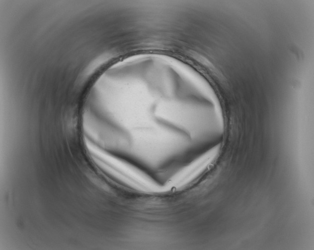 X0000113911450200910151407