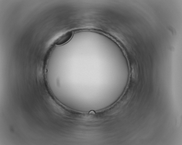 X0000113911452200910151407