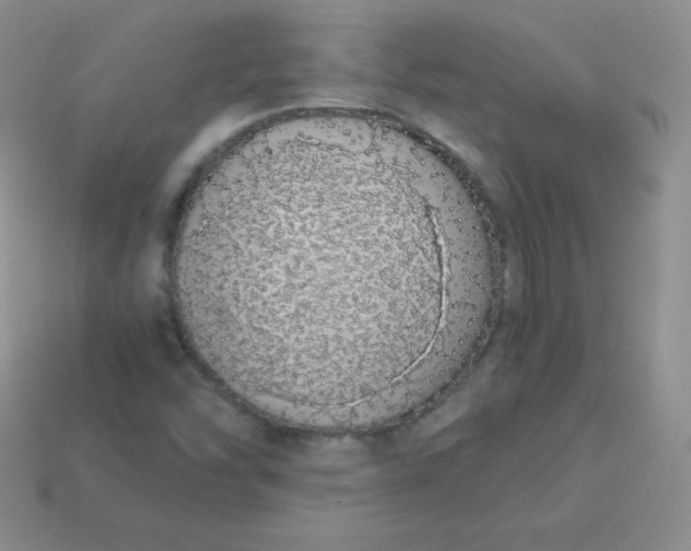 X0000113911454200910151407