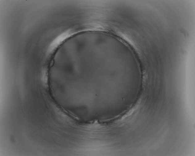 X0000113911455200910151407