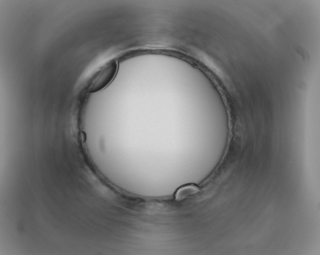 X0000113911456200910151407