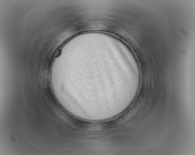 X0000113911457200910151407