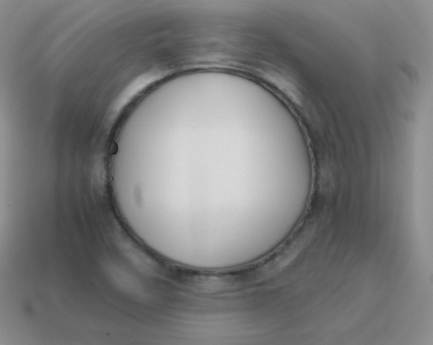 X0000113911458200910151407