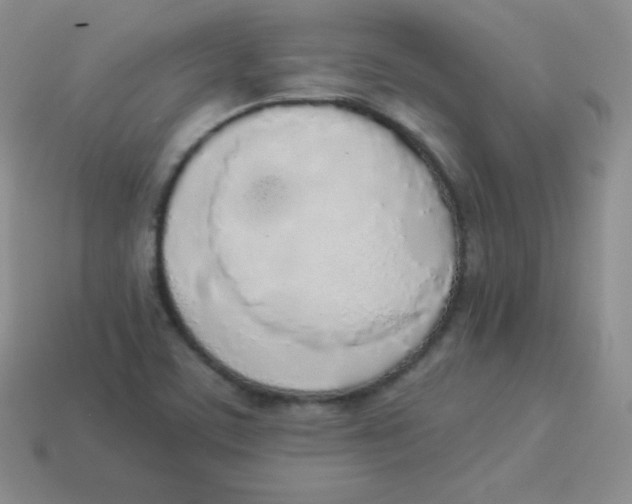 X0000113911459200910151407