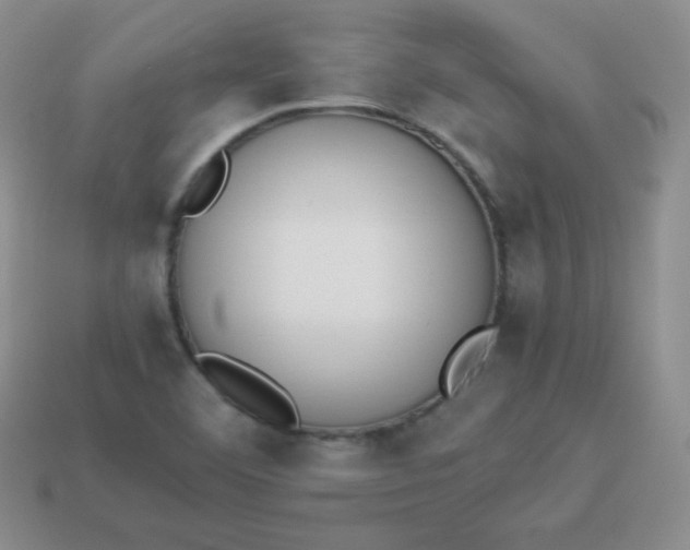 X0000113911460200910151407