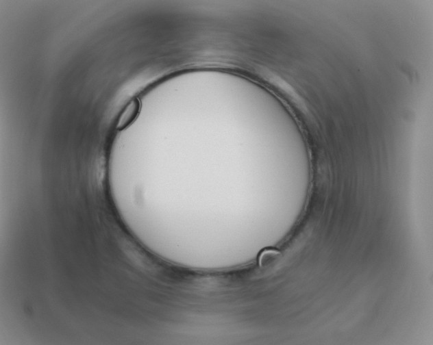 X0000113911461200910151407