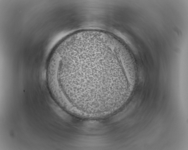 X0000113911462200910151407