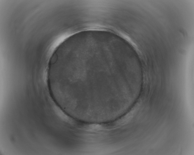 X0000113911463200910151407