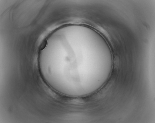 X0000113911464200910151407