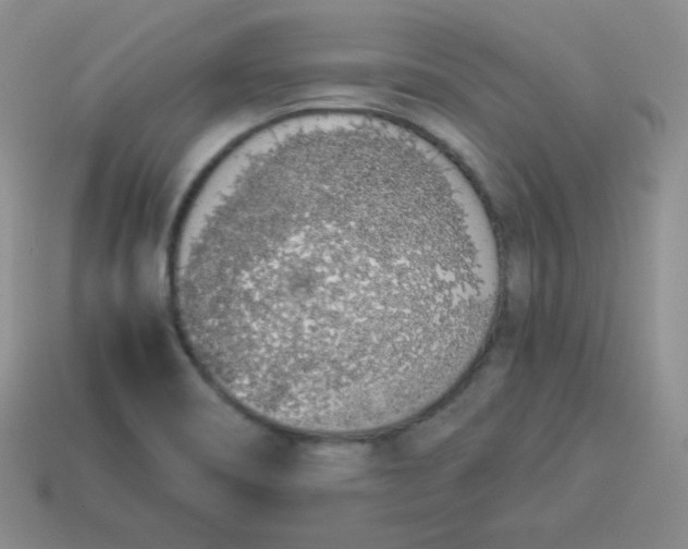 X0000113911466200910151407