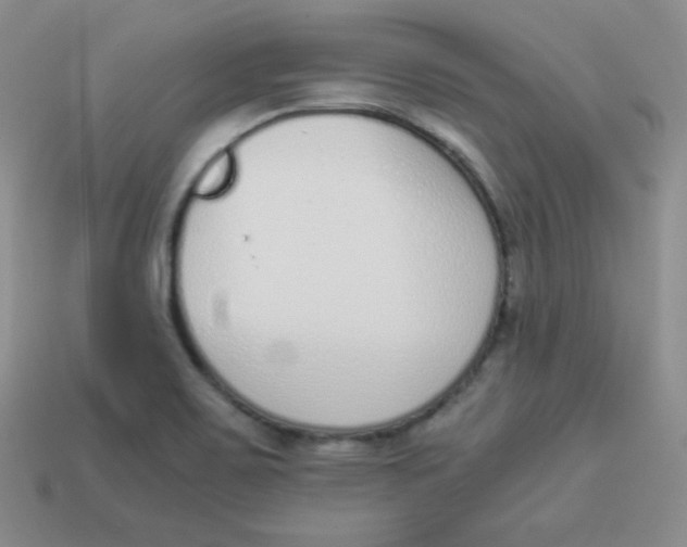 X0000113911467200910151407