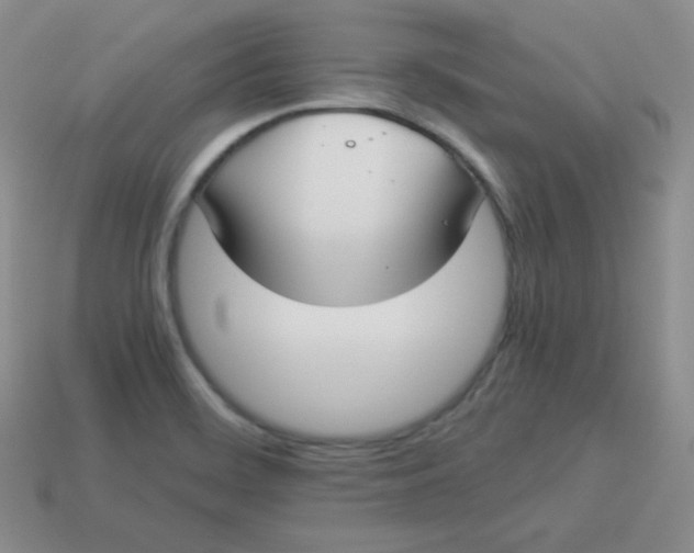 X0000113911468200910151407