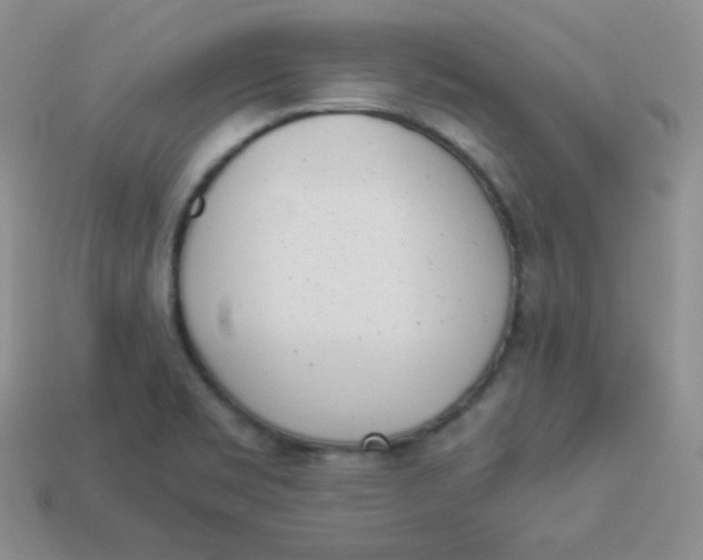 X0000113911469200910151407