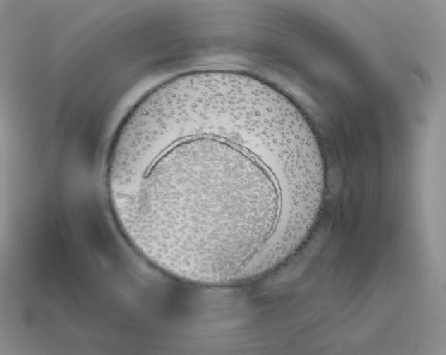 X0000113911470200910151407