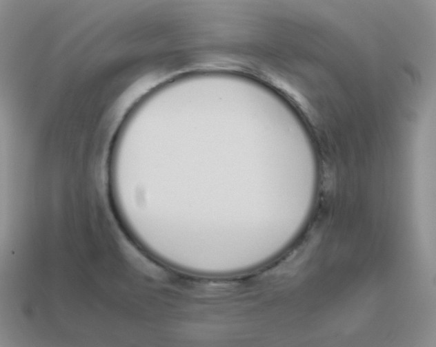 X0000113911471200910151407