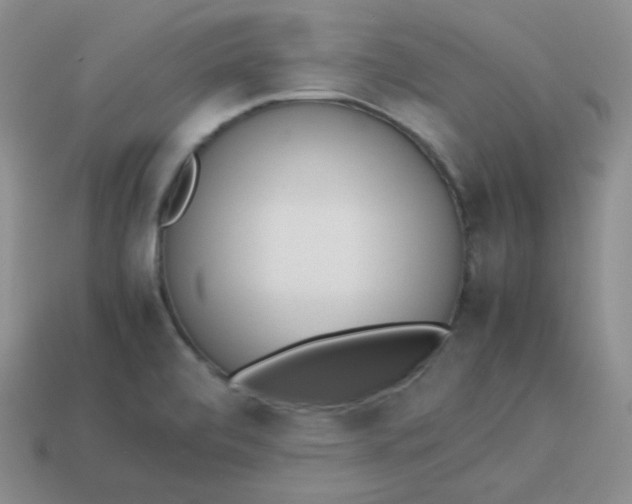 X0000113911472200910151407