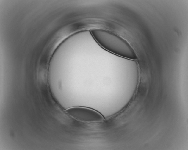 X0000113911473200910151407