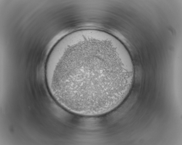 X0000113911474200910151407