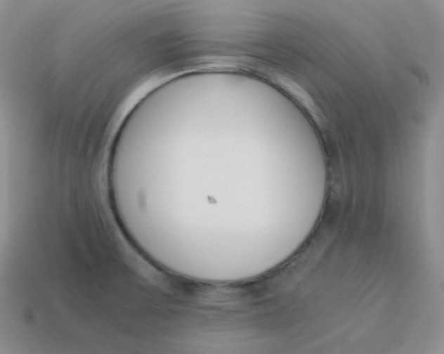 X0000113911475200910151407