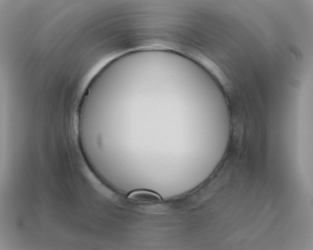 X0000113911476200910151407