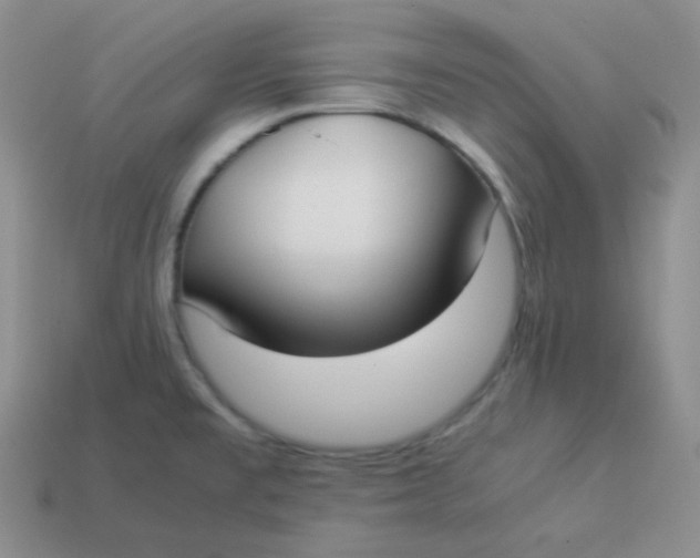 X0000113911477200910151407