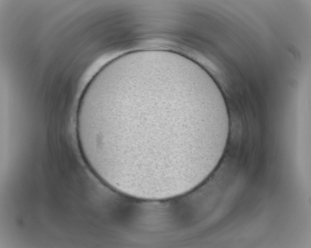 X0000113911478200910151407