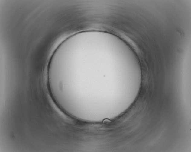 X0000113911479200910151407