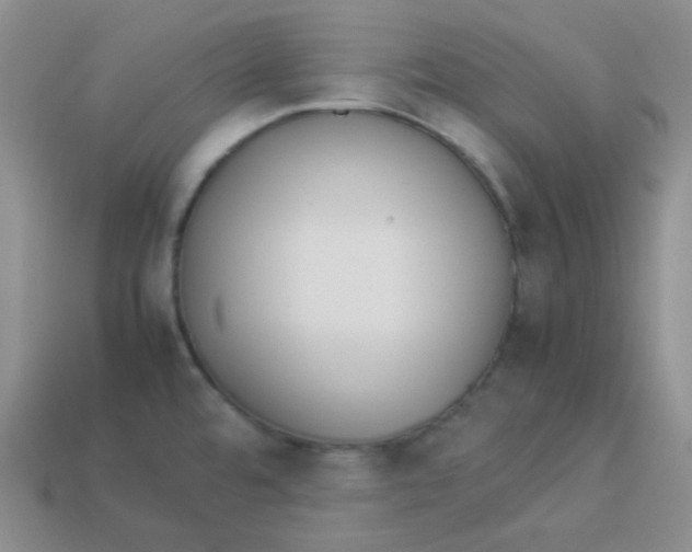 X0000113911480200910151407