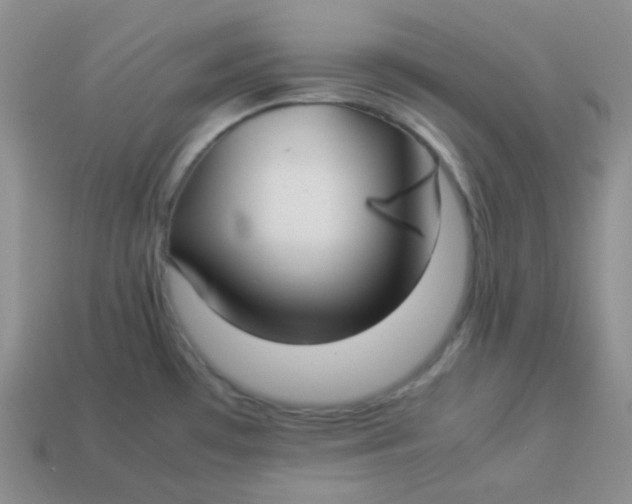 X0000113911481200910151407