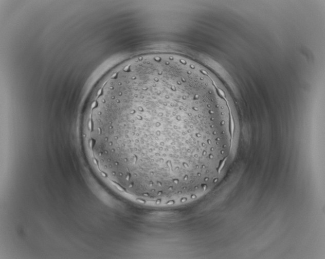 X0000113911482200910151407