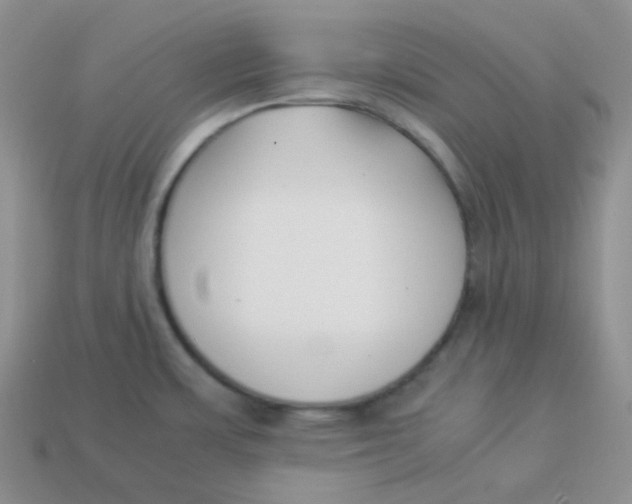 X0000113911483200910151407