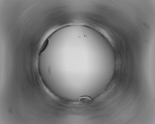 X0000113911484200910151407