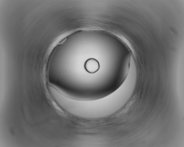 X0000113911485200910151407