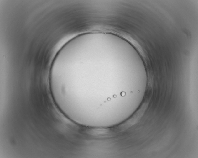 X0000113911486200910151407