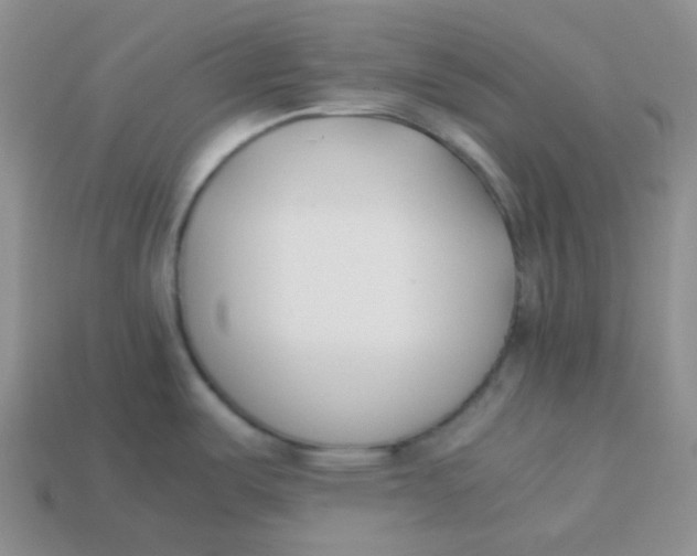 X0000113911487200910151407