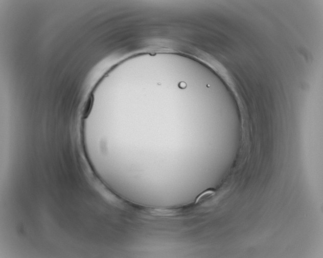 X0000113911488200910151407