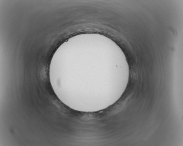 X0000113911490200910151406