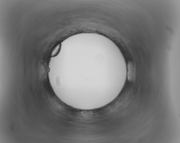 X0000113911491200910151406