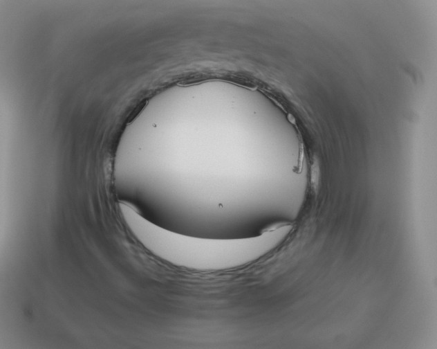 X0000113911492200910151406