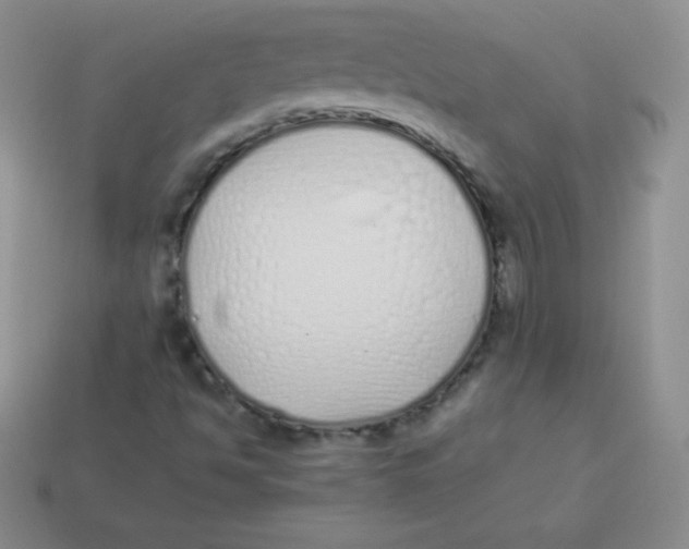 X0000113911494200910151406