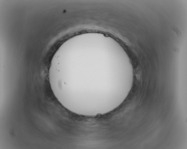 X0000113911495200910151406